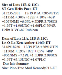 11B-2