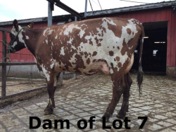 7-4