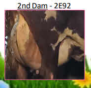 126167