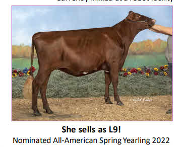 126243