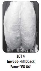 116143