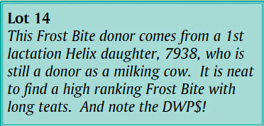 143932