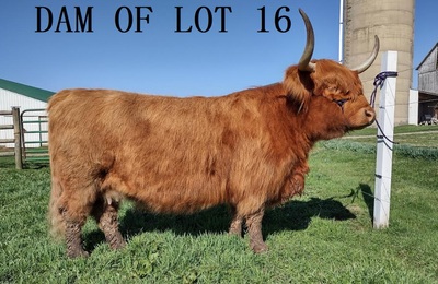 158427
