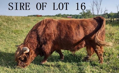 158428