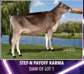 135679